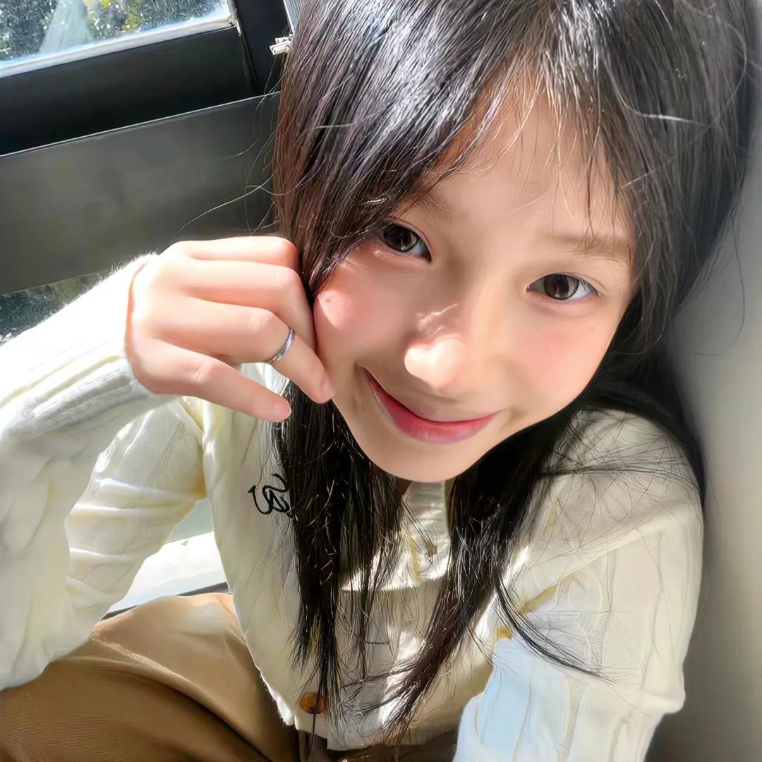 企鹅之岛:福克兰